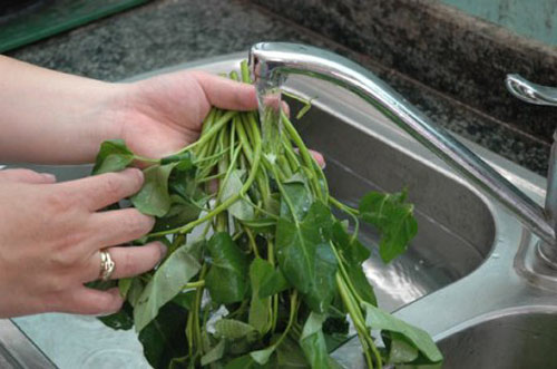 rửa rau sạch an toàn