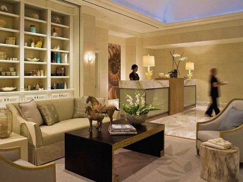 spa đẳng cấp tại Mỹ - hình minh họa 4