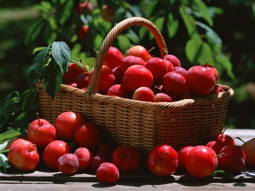 thực phẩm tốt cho dạ dày - hình minh họa 2