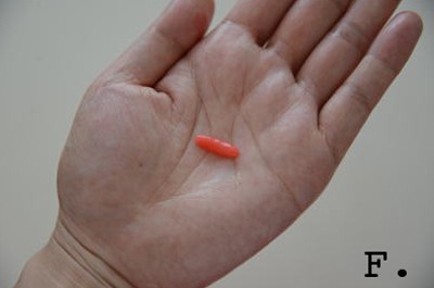 làm bánh quy hình thỏ - hình minh họa 3
