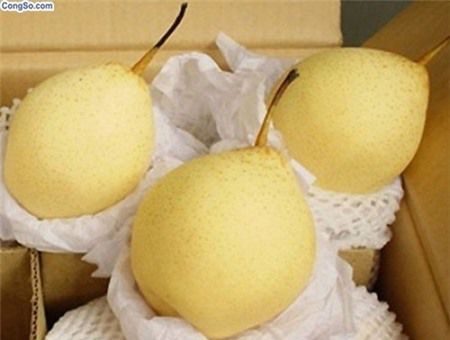 chọn trái cây an toàn