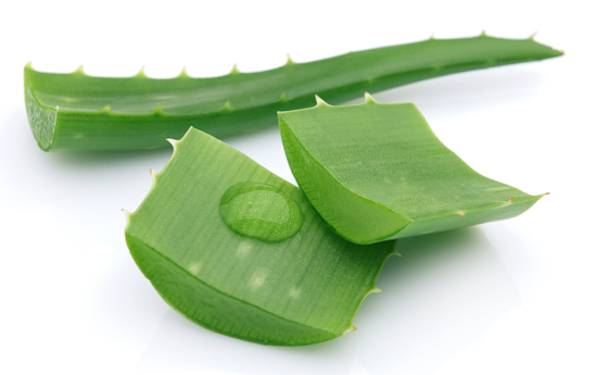 thực phẩm giảm đau dạ dày