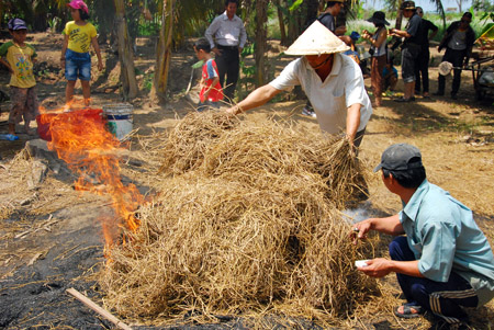 cá lóc nướng trui miền Tây - hình minh họa 4
