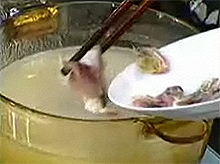 Cháo Cá Chép - hình minh họa 5