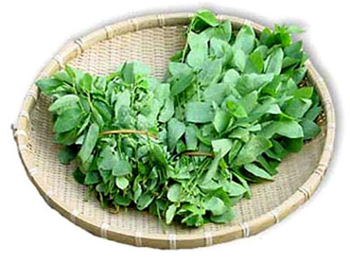 chữa nhiệt miệng tại nhà - hình minh họa 2