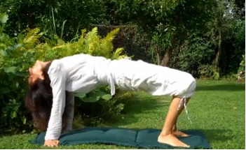 5 động tác yoga để 'trẻ mãi không già' - 5