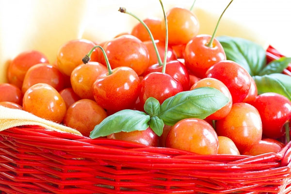 Quả anh đào ngọt có công dụng trong việc ngăn ngừa và giảm bớt căn bệnh gout.