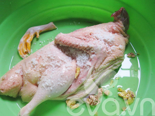 Cơm chiều với vịt om nước cốt dừa - 2