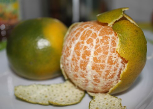 tác dụng của vỏ quýt
