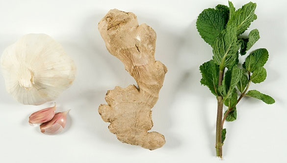 gừng, tỏi, bạc hà