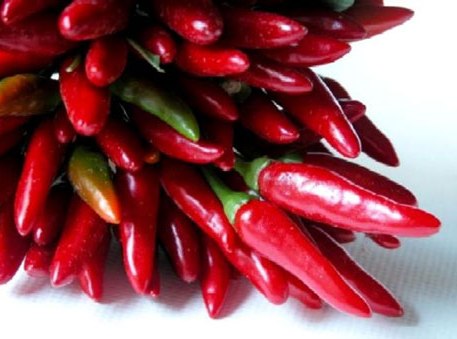 gia vị phòng chống ung thư - hình minh họa 6