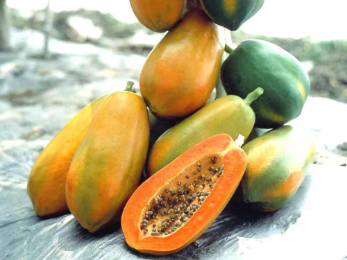 Sinh Tố Dưỡng Nhan - hình minh họa 3