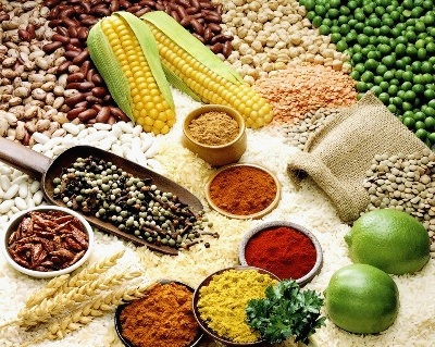 Chất Xơ Giải Mã Những Lầm Tưởng - hình minh họa 2