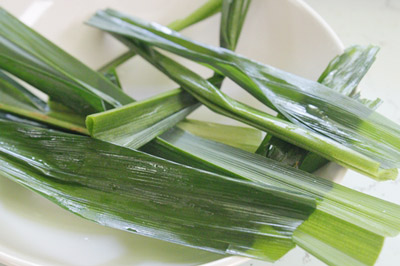 Thạch Lá Dứa Sữa Dừa Hai Lớp
