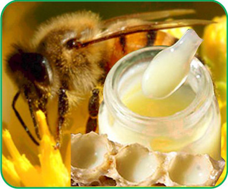 Những thực phẩm mẹ cần đặc biệt chú ý khi cho bé ăn Những thực phẩm mẹ cần đặc biệt chú ý khi cho bé ăn - Chăm sóc bé - Chăm sóc trẻ em - Dinh dưỡng cho trẻ em - Làm cha mẹ