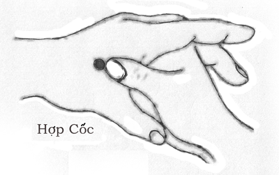 chống say xe cho trẻ - hình minh họa 4
