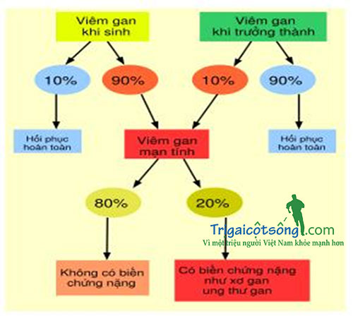 phòng ngừa và điều trị viêm gan B - hình minh họa 2
