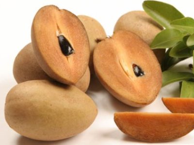 Bí Quyết Làm Đẹp Từ Nhựa Cây