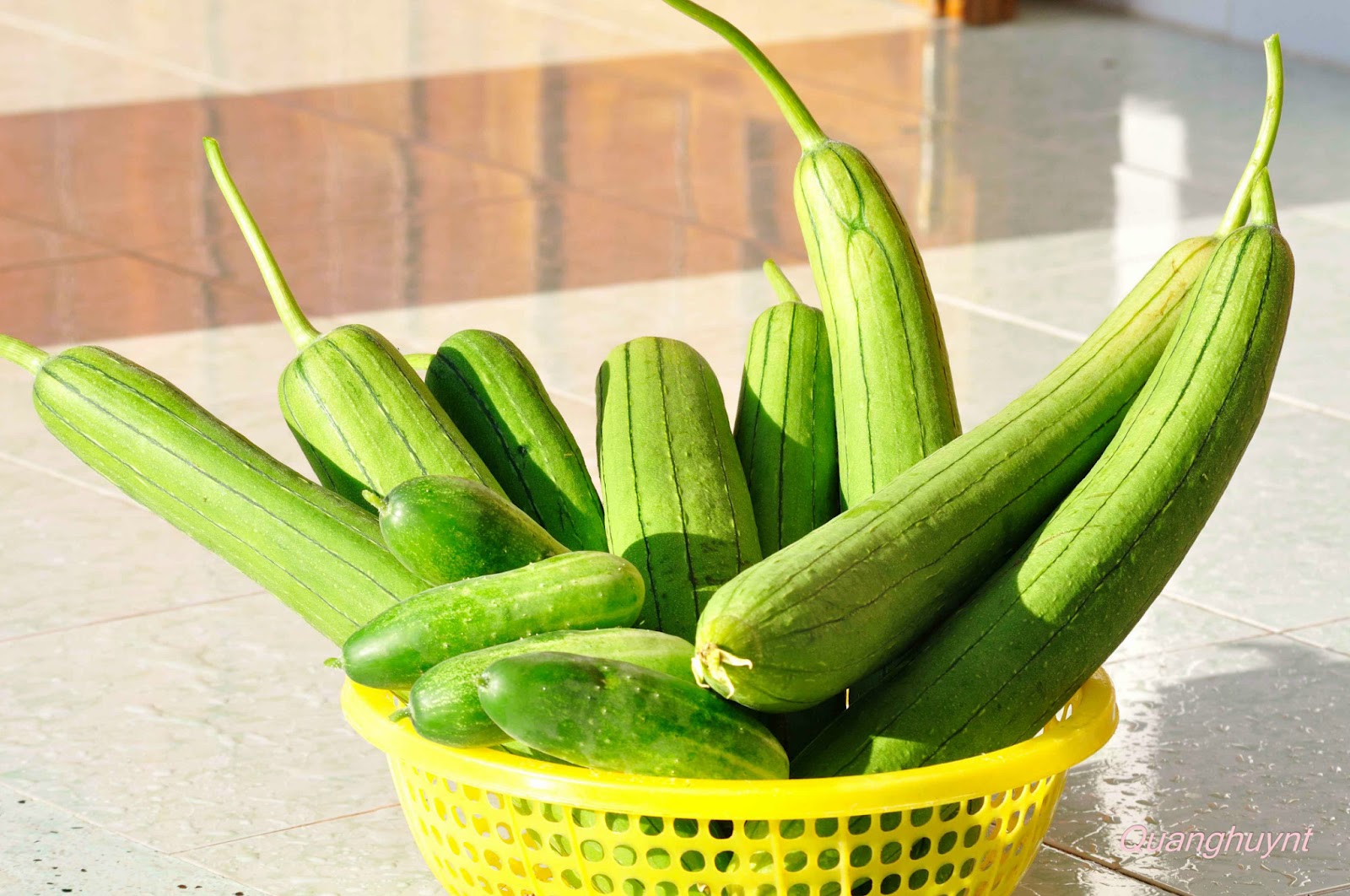 Bí quyết chống nắng tự nhiên hiệu quả, ít tốn kém bạn cần biết